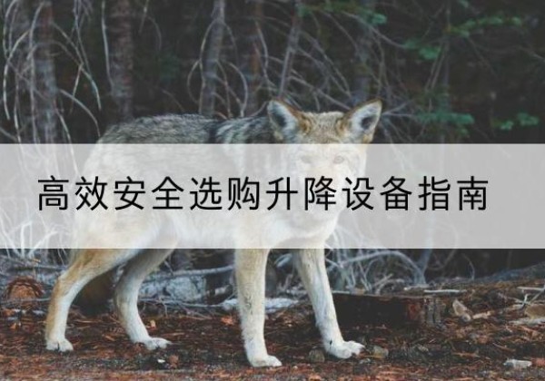 加查升降货梯厂家推荐-*安全选购升降设备指南