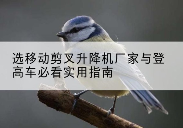 加查电动升降机厂家-选移动剪叉升降机厂家与登高车必看实用指南