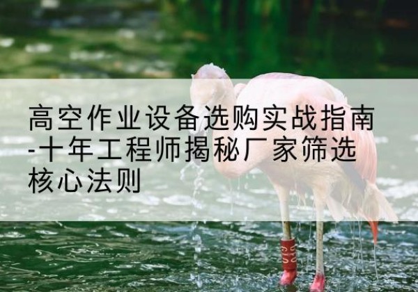 加查剪叉式升降机厂家-高空作业设备选购实战指南-十年工程师揭秘厂家筛选核心法则